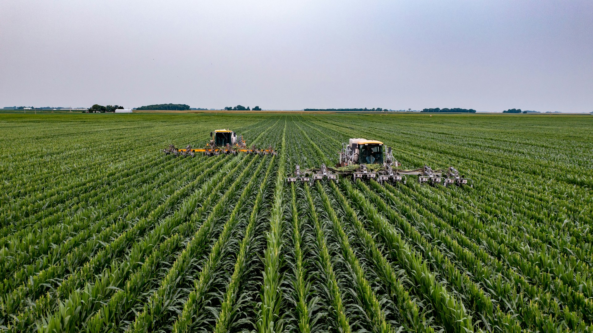 Edible Garden AG: Sustainable Farming Company Sees Slight Dip Amid Market Volatility