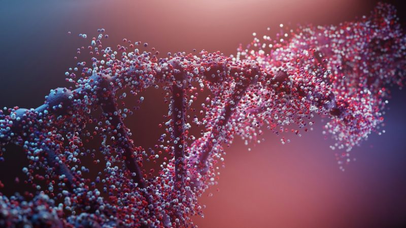 Jasper Therapeutics: Advancing Stem Cell Therapies for the Future